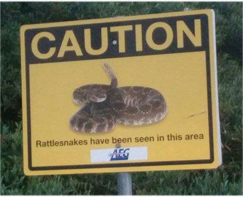 snake2